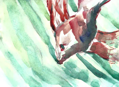 Sedas - MAIN - SLF - Into The Blue.jpg