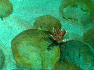 Sedas - MAIN - Waterlelies - 202006 - Roze Bloem 1.jpg