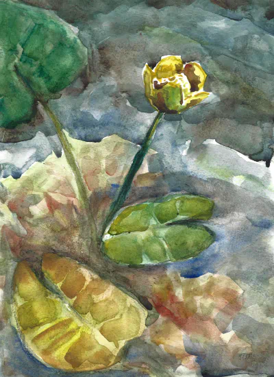 Plomp Yellow Flower