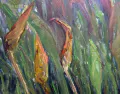 Detail - Pickerel Weed in Decay