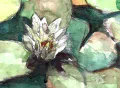 Detail - White Water Lily