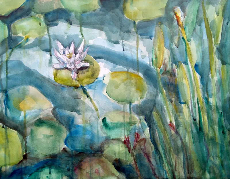 White Water Lily and Foliage